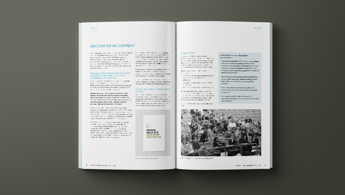 Domestic Violence NSW